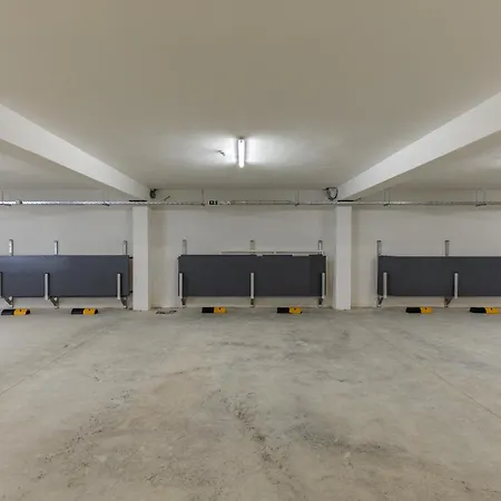 Anassa לפטוקריה